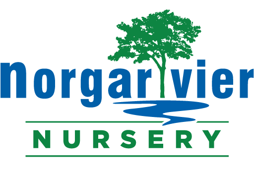 Norgarivier